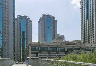 廣西威代爾白冰葡萄酒